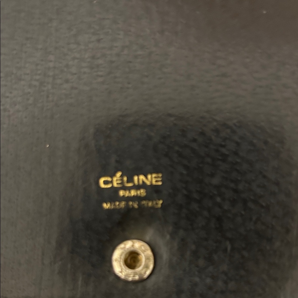 Celine Vintage Canvas Clutch with Horse and Carriage Print - Picture 4 of 14